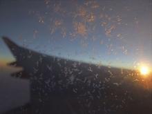 iceCrystals1030