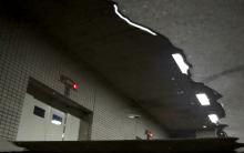 reflection0768